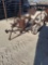 Antique Planter Yard Art