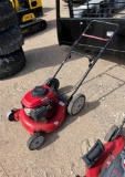 Push Mower