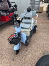 3 Wheel Electric Cart