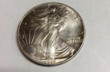 1995 silver eagle