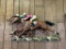 Mid Century Universal Jockey 1966