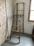 Library Ladder