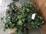 Hanging Baskets