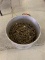 Bucket of Nails (Approx. 10 lbs.)