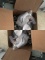 Box of Pool Supplies