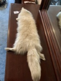 Fox Fur