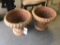 Plastic Planters