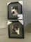 Pictures