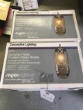 2 Decorative Lights: Chrome Finish with Frosted Glass Shade