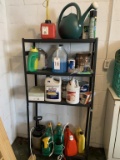 Shelf + Contents