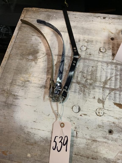 Dog Collars