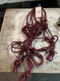 Rope Halters