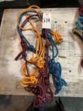 Rope Halters