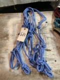 Rope Halters