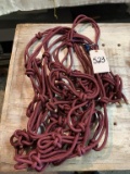 Rope Halters: 6 total