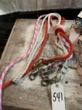 Lead Ropes: 3 Total