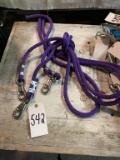 Lead Ropes: 3 Total