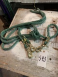 Lead Ropes: 3 Total