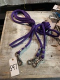 Lead Ropes: 3 Total