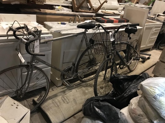 2 bikes (schwinn, magna)