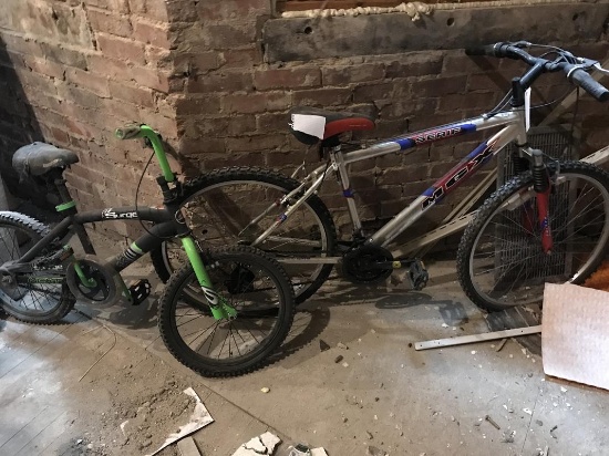 2 bikes (mgx, next)