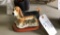 Basset hound decoration