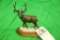 Mule Deer Bronze By Rick Taylor 62/250 1894