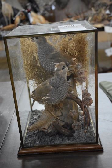 Two Quails In Glass