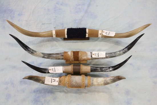 4 Steer Horns (4x$)