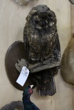 Amazing Reproduction Owl Mt. (turkey Feathers)