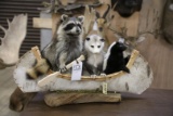 Raccoon,opposum & Skunk In Canoe (one $)
