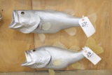 5 Silver Fish (5x$)