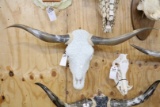 Crystal Cow Skull