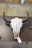 1 Buffalo Skull