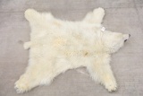 Polar Bear Rug (us Res Only)