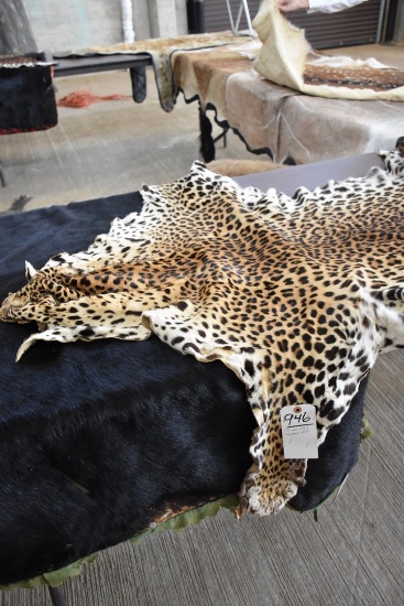 Leopard Hide (tex Res Only)