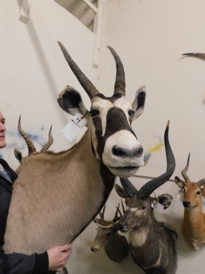 GEMSBOK