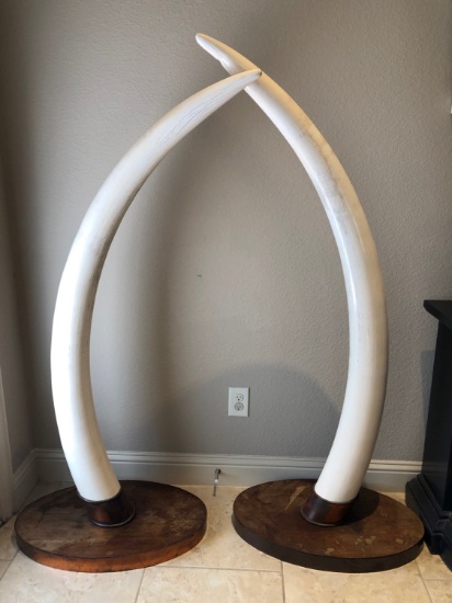 PAIR OF ELEPHANT TUSK 61LB ONE SIDE 63LB THE OTHER SIDE TOTAL OF 124LB OF IVORY (TX RES ONLY)