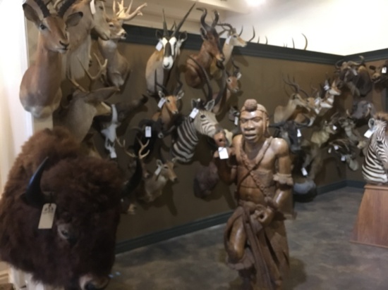 10 TROPHY ROOMS LIQUIDATED, TAXIDERMY, GUNS RING2