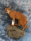 FB CARICAL CAT WALL MT