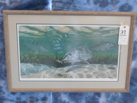 "BONEFISH" BY DON RAY, 43/50, FRAME 28"X19"