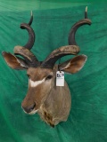 KUDU MT