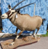 FB GEMSBOK