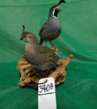 2 QUAIL (ONE$)