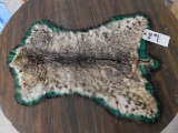 BOBCAT HIDE (HAS SOME DRY ROT)