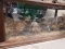 2'x4' GLASS COFFEE TABLE W/ QUAIL