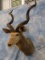 GREATER KUDU SH MT