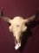 XL BISON SKULL