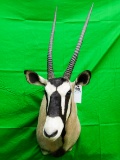 GEMSBOK MT