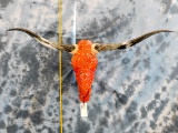 RED CORAL-COLORED COWSKULL